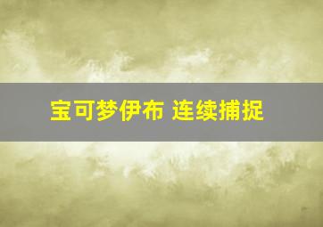 宝可梦伊布 连续捕捉